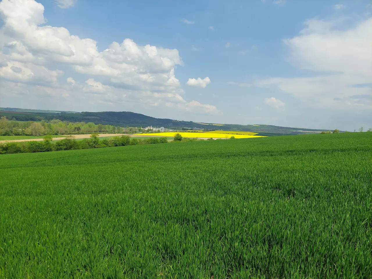 exploitation ovin à koeur la petite