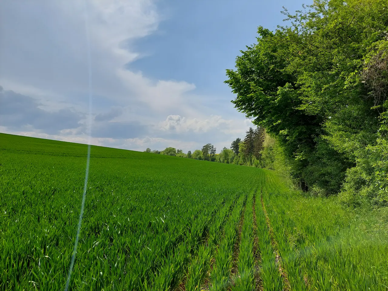 ferme agrisolaire les fours à chaux