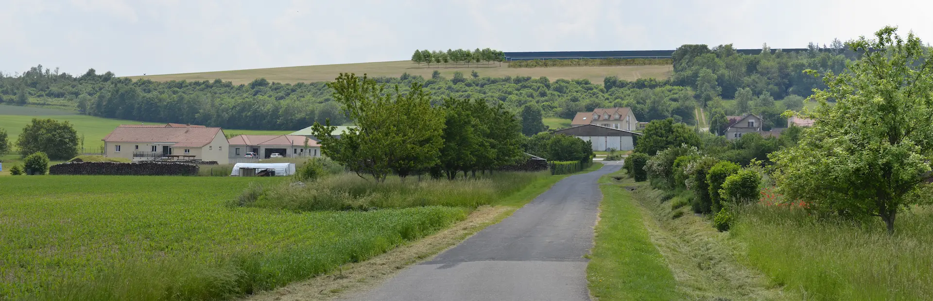 PM 1 vers koeur la grande 60 degrés haie basse 10012023