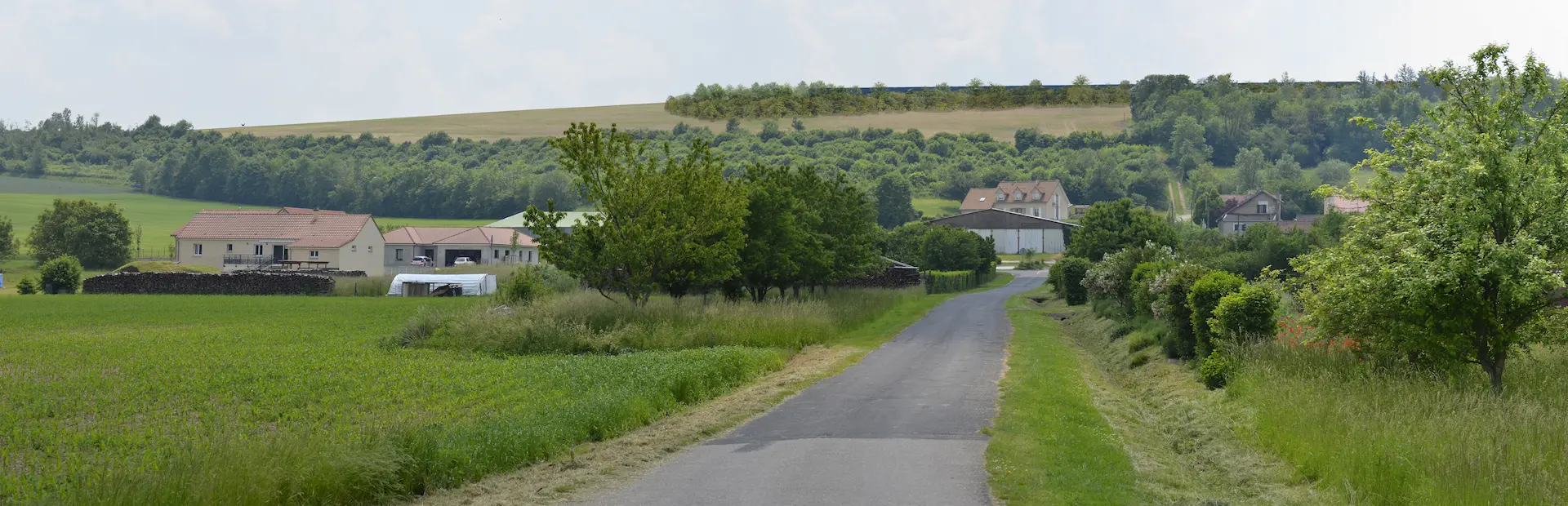 PM 1 vers koeur la grande avec haie haute 60 degré 12012023